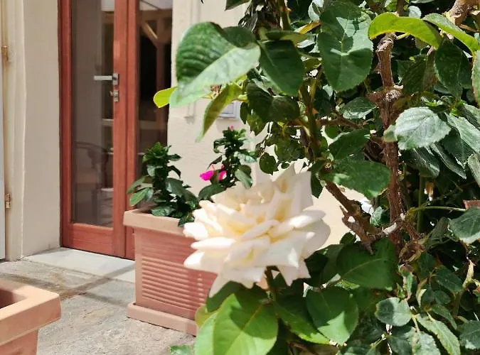 Konukevi North Sardinia Retreats - Manini Boutique La Maddalena (Sassari)